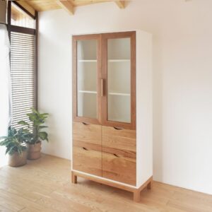 ตู้ Wafer Cabinet